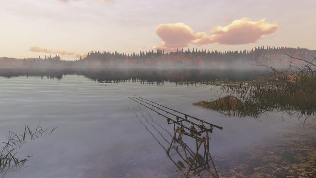 theFisher Online 2