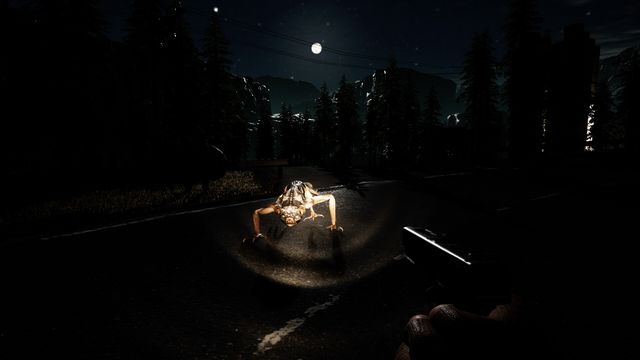 Anarchy: Wolf's Law 3