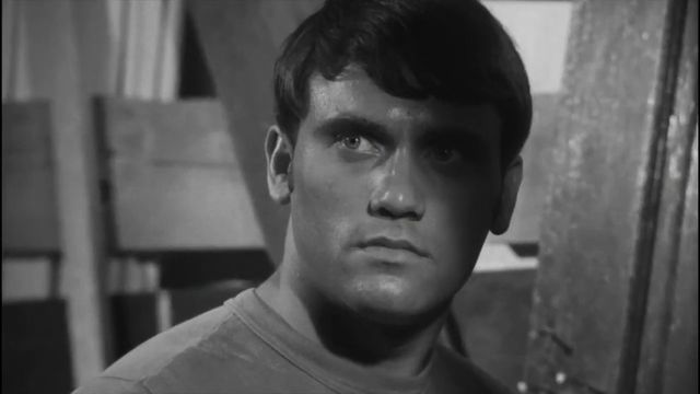 Rough Kuts: Night of the Living Dead 6