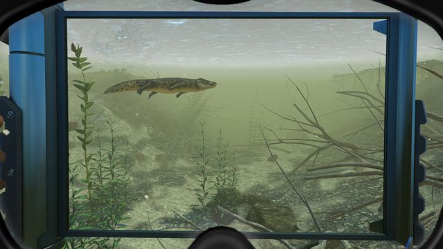 World of Diving 1