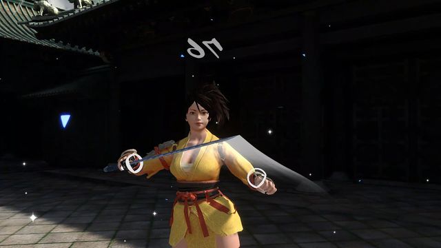 VR Ninja Dojo 3