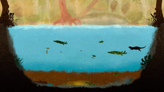 Among Ripples 3