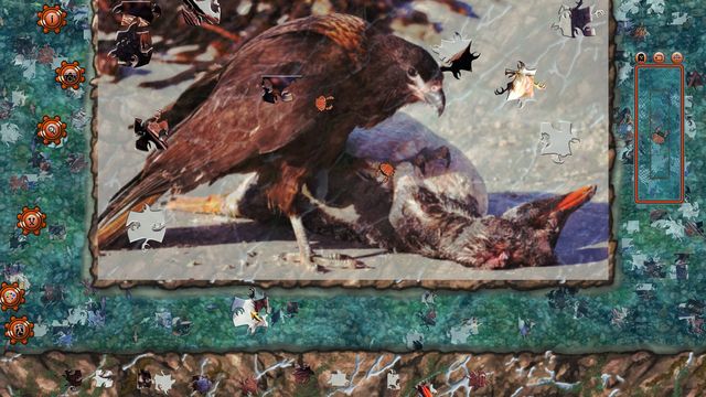 Pixel Puzzles 2: Birds 2