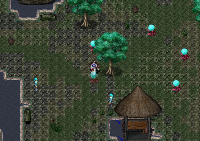 Orake 2D MMORPG 6