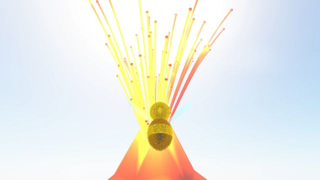 b 6