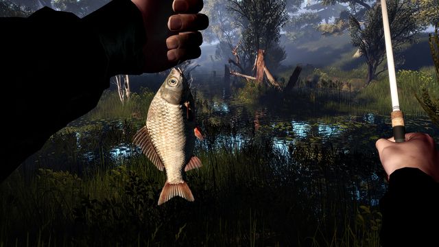 Professional Fishing 3