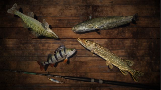 Professional Fishing 5