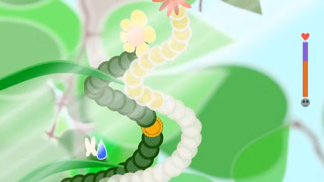 Plants 4