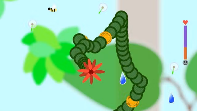 Plants 5