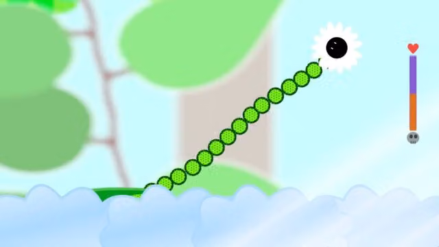 Plants 6