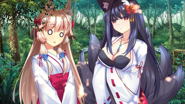 Fox Hime Zero 4