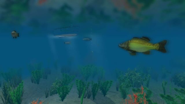 European Fishing 1