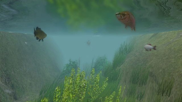 European Fishing 3