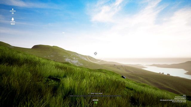 Playne 2
