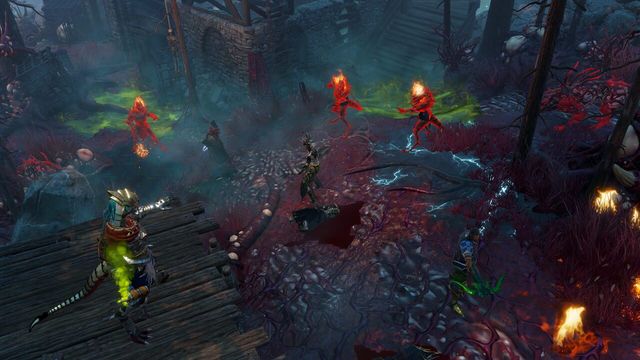 Divinity: Original Sin II - Definitive Edition 2