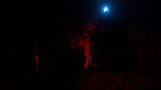 Beyond Blue 6