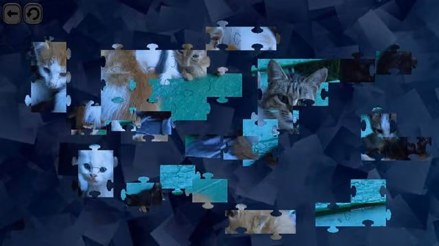 Puzzles for smart: Cats 1