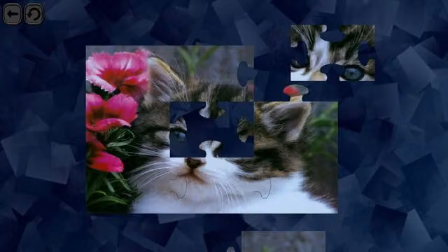 Puzzles for smart: Cats 2