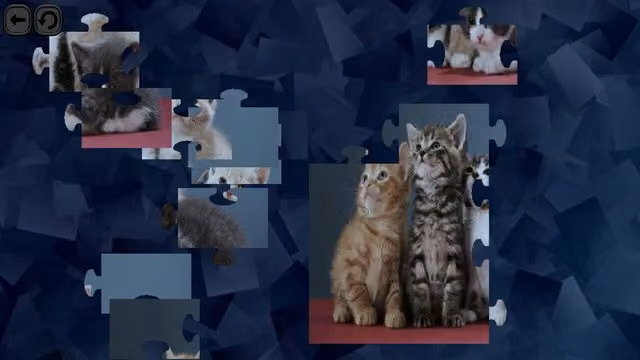 Puzzles for smart: Cats 3