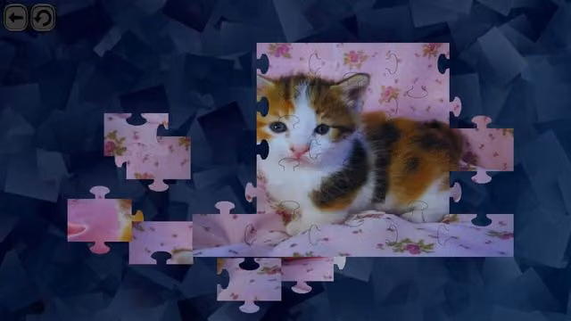Puzzles for smart: Cats 6