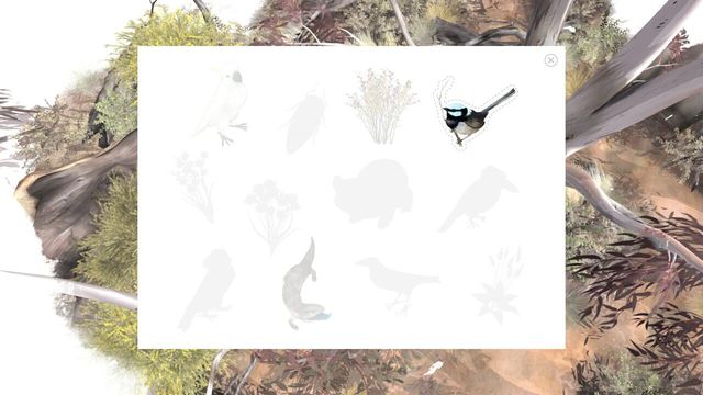 Paperbark 5