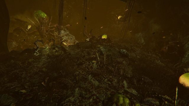 Seeking Dawn 5
