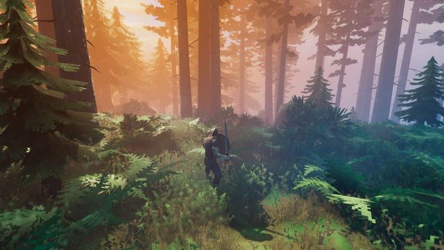 Valheim 5