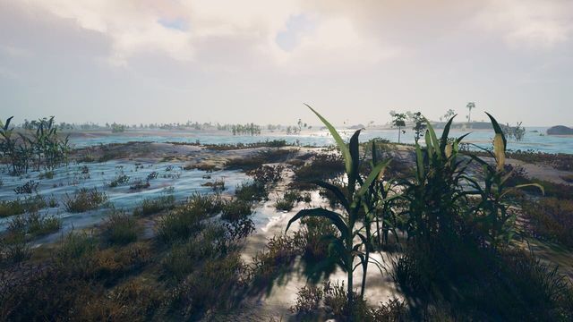 Survisland 1