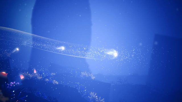 Koral 6