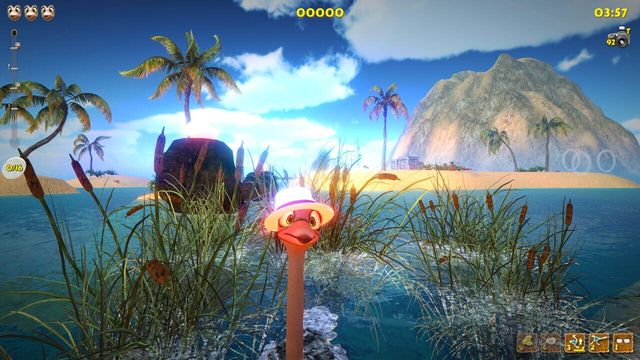 Ostrich Island 2