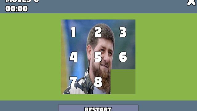 Political Puzzle 6