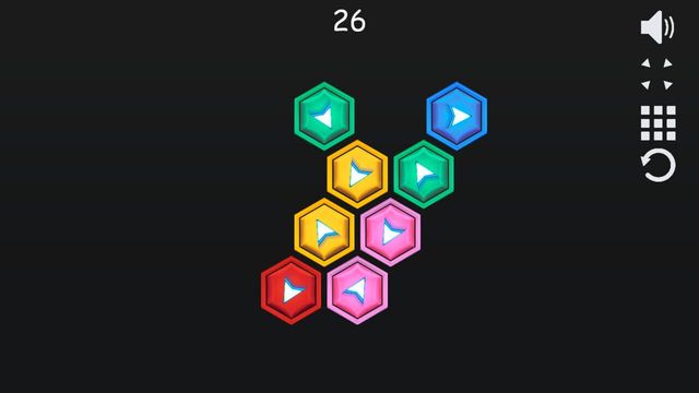 Hexagon Puzzle 5