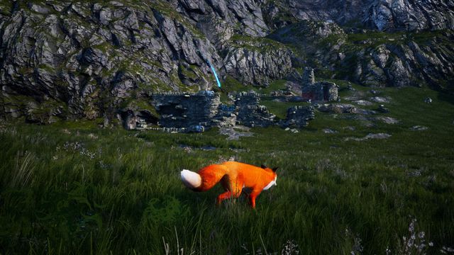 Spirit of the North 5