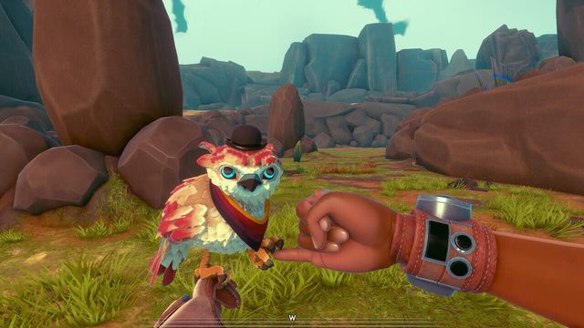 Falcon Age 5