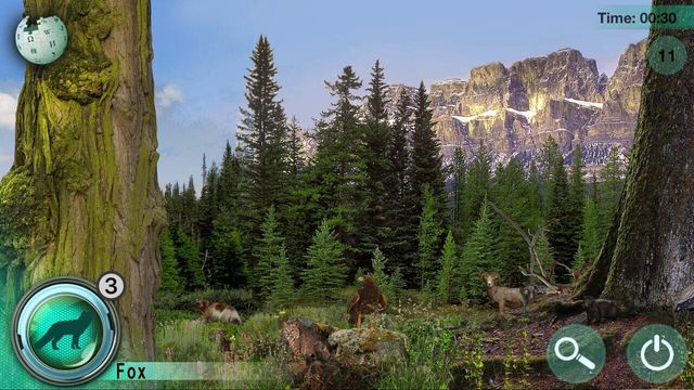Hidden Animals: Photo Hunt 2