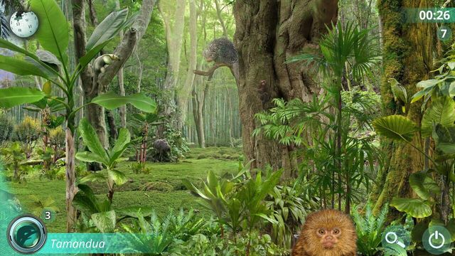 Hidden Animals: Photo Hunt 4