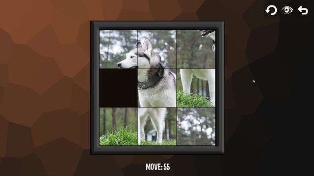 Intelligence: Dogs 2