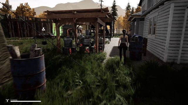 Mist Survival 5