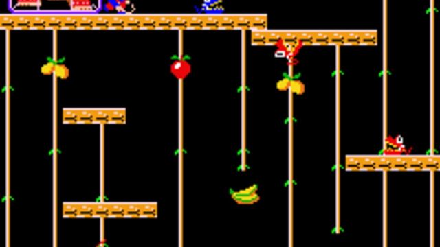 Donkey Kong Junior 2