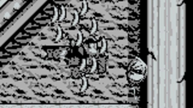 Donkey Kong Land 3