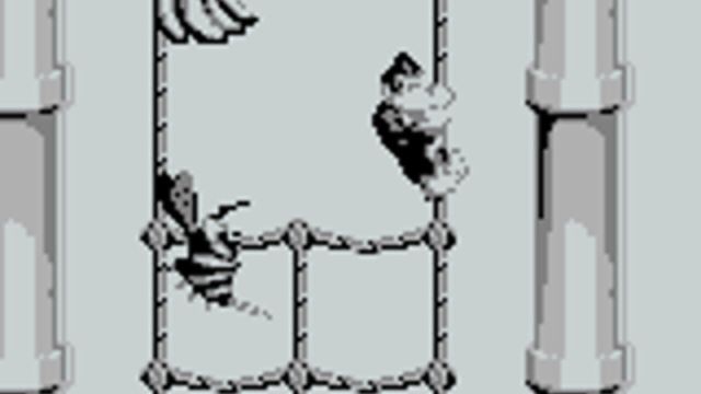 Donkey Kong Land 5