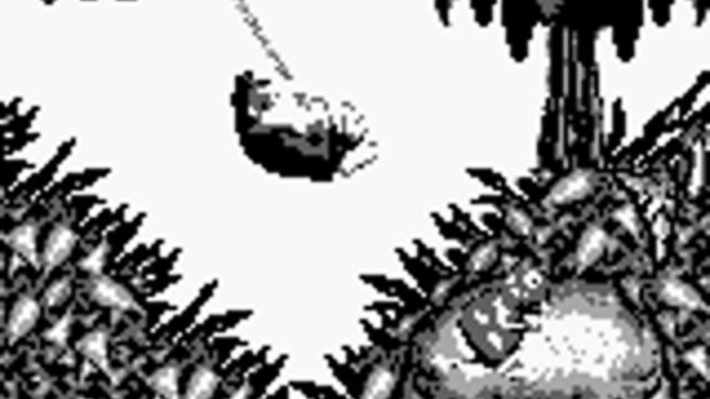Donkey Kong Land 6