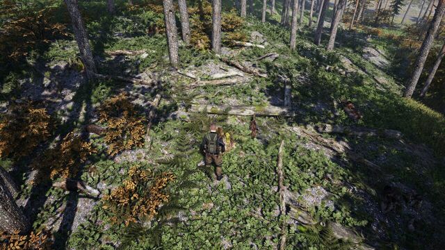 Deadside 3