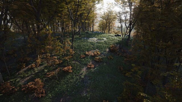 Deadside 5