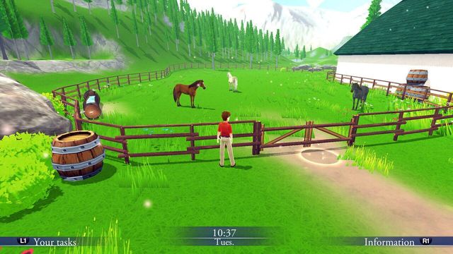 My Riding Stables: Life with Horses 2 4