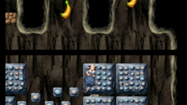 DK: Jungle Climber 2