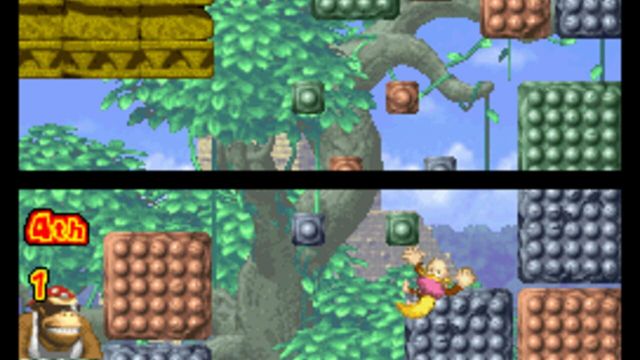DK: Jungle Climber 5