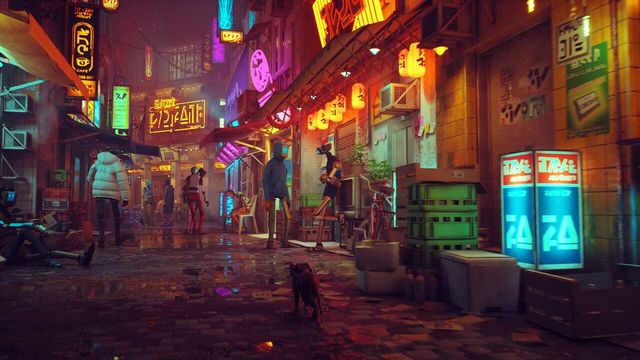 Stray 4