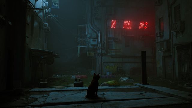 Stray 6