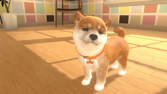 Little Friends: Dogs & Cats 5